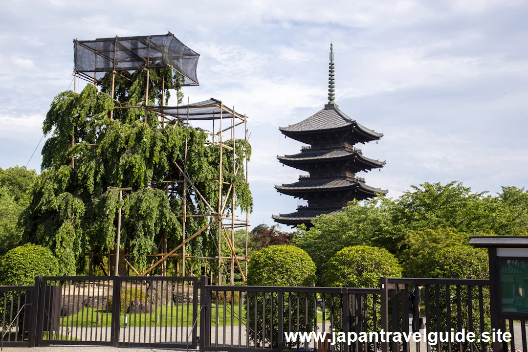 東寺(8)