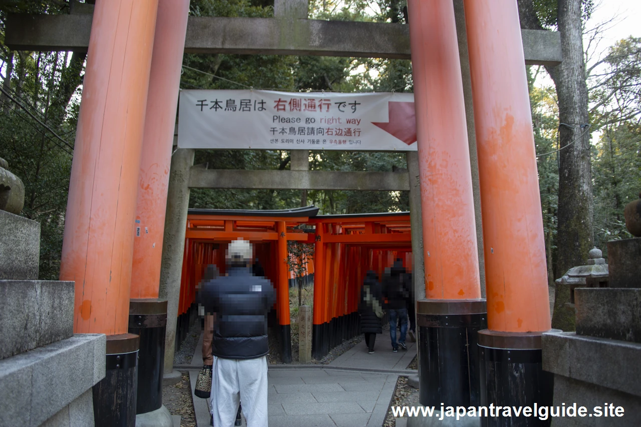 千本鳥居：伏見稲荷大社の見どころ(5)
