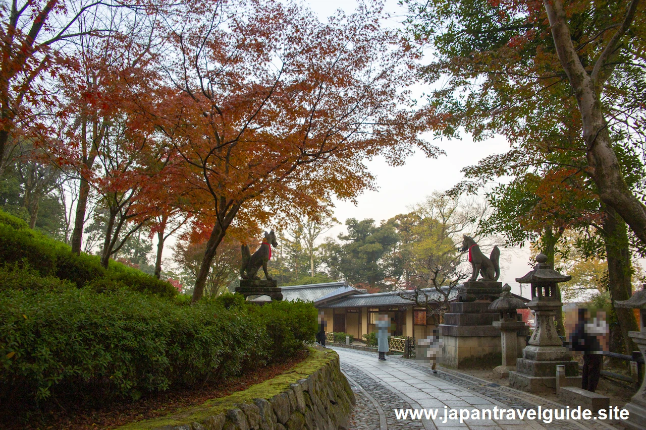 啼鳥菴あたりの紅葉：伏見稲荷大社の紅葉の見どころ完全ガイド(7)