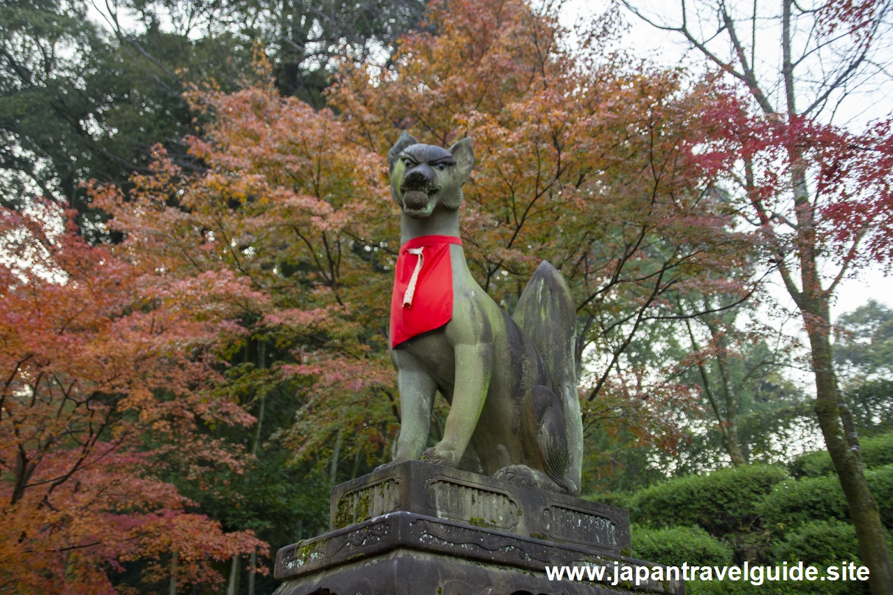 啼鳥菴あたりの紅葉：伏見稲荷大社の紅葉の見どころ完全ガイド(5)