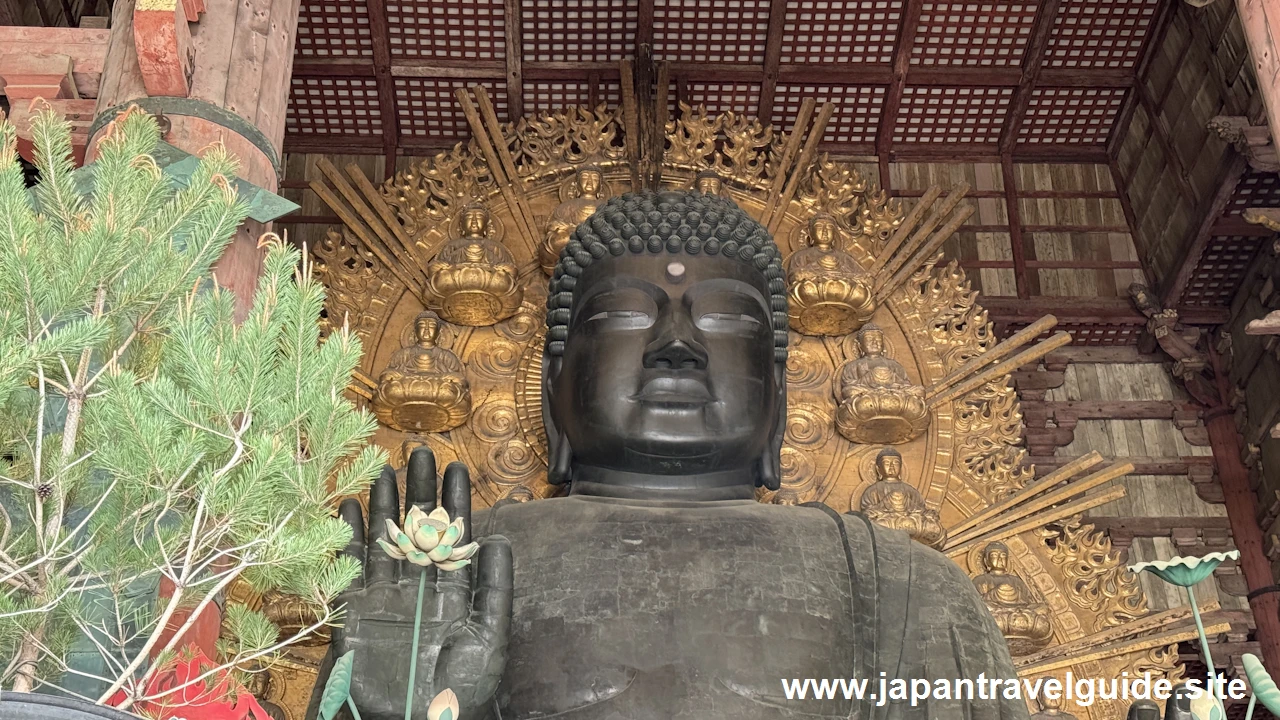 盧舎那仏(大仏)：東大寺の見どころ(2)