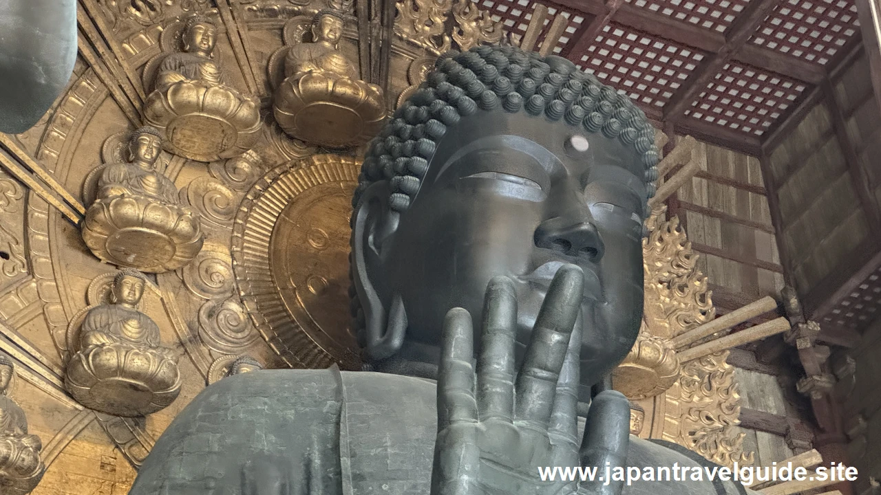 盧舎那仏(大仏)：東大寺の見どころ(4)