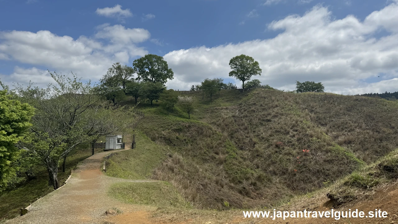 若草山：奈良公園の見どころ(4)