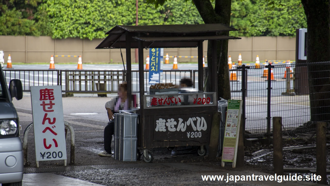 奈良公園の鹿：奈良公園の見どころ(7)