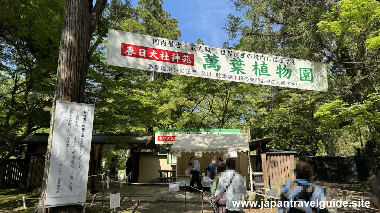 萬葉植物園：春日大社の見どころ(1)
