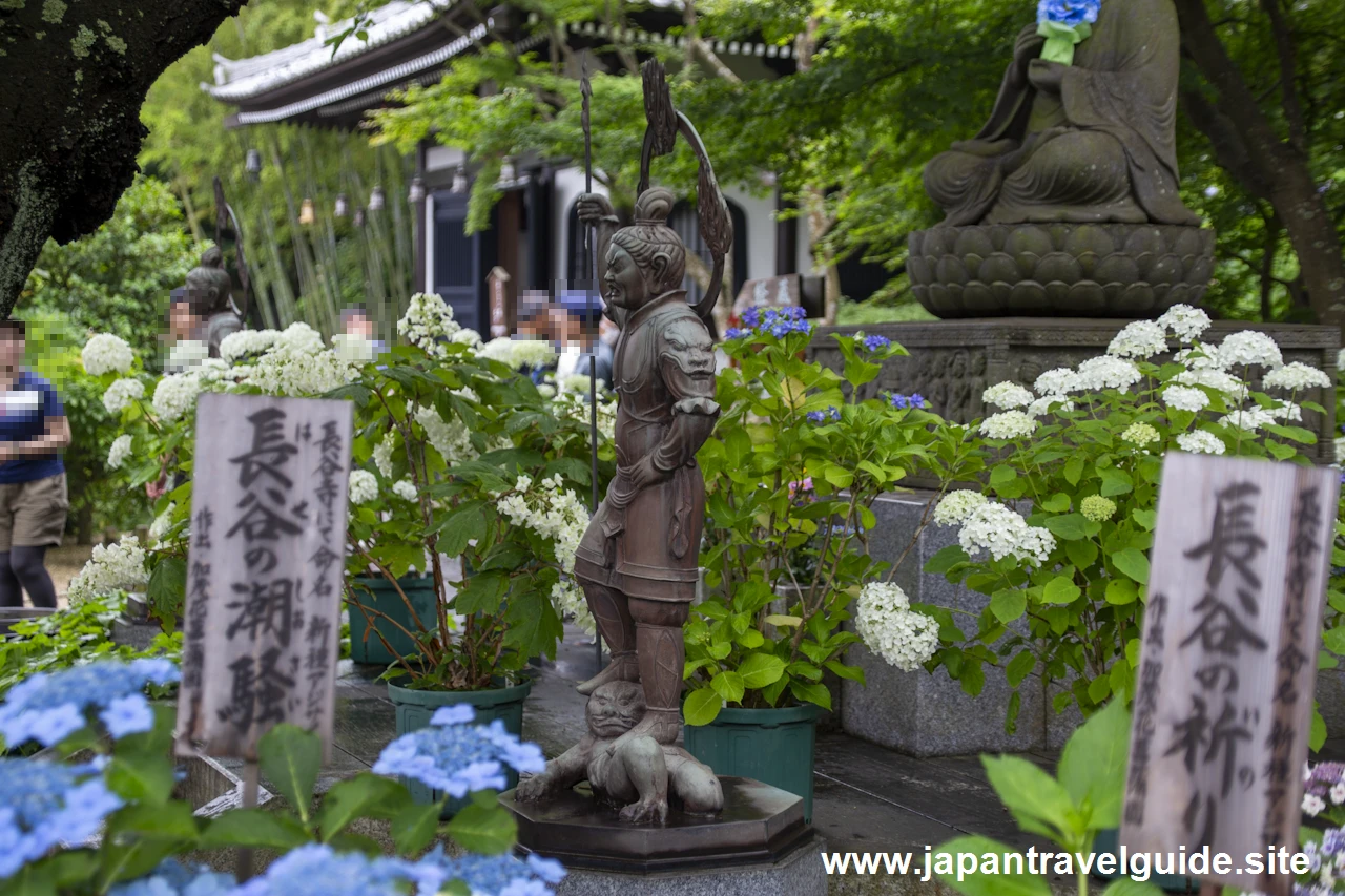 鎌倉 長谷寺(19)