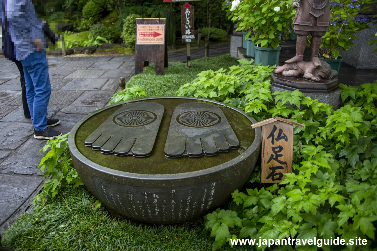 鎌倉 長谷寺(22)
