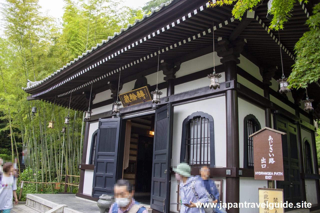 鎌倉 長谷寺(23)