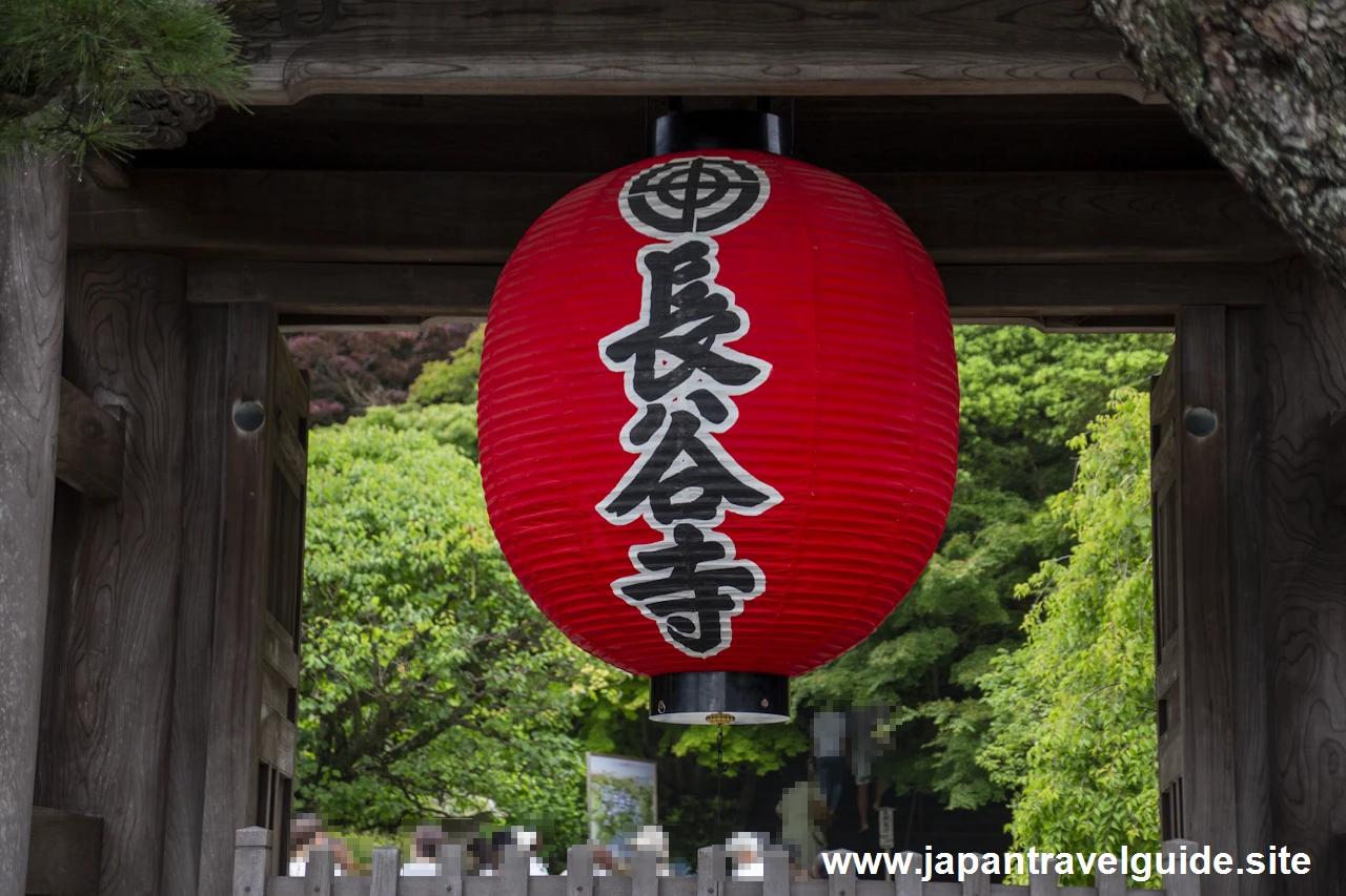 鎌倉 長谷寺(3)