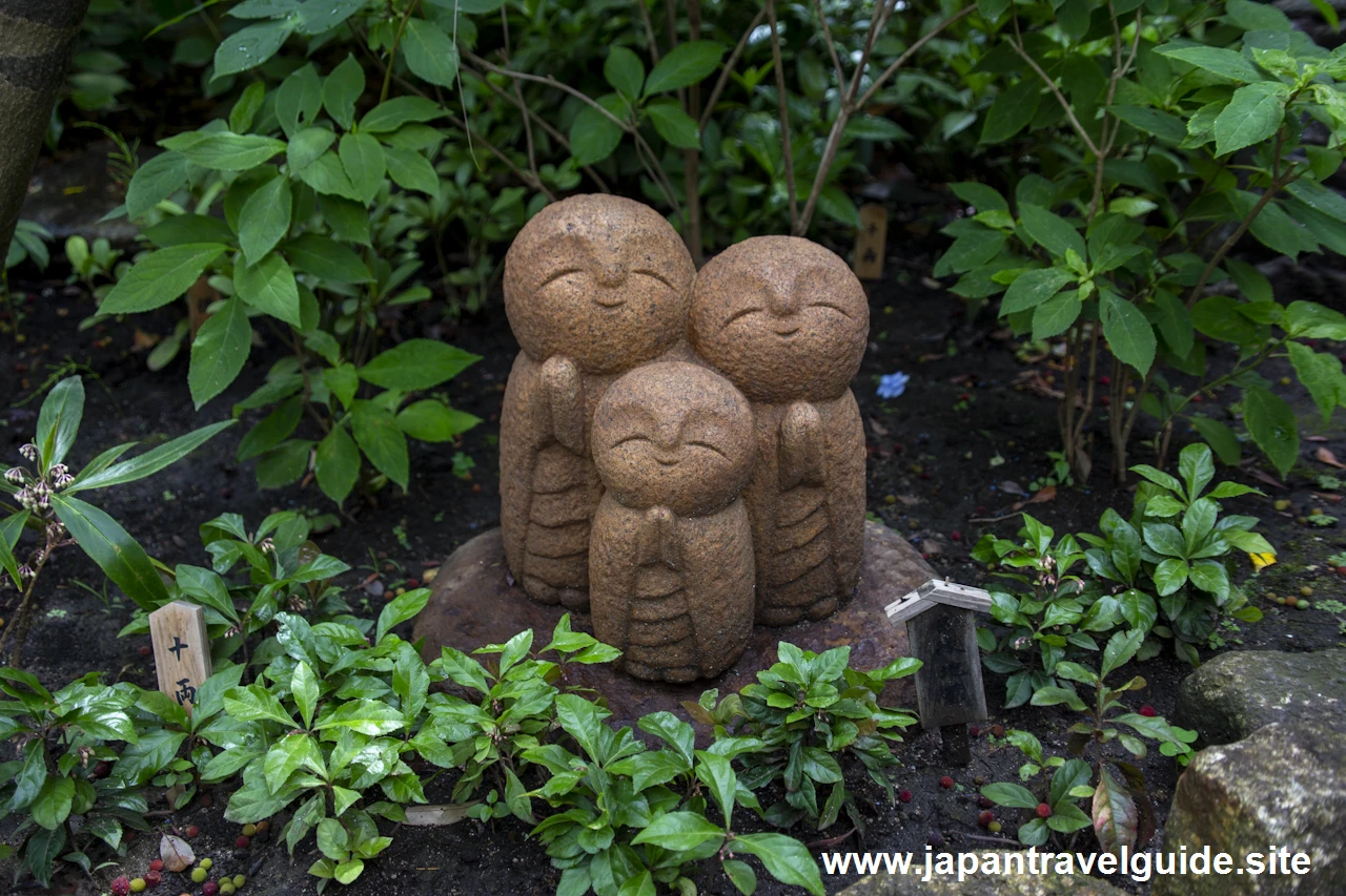 鎌倉 長谷寺(29)