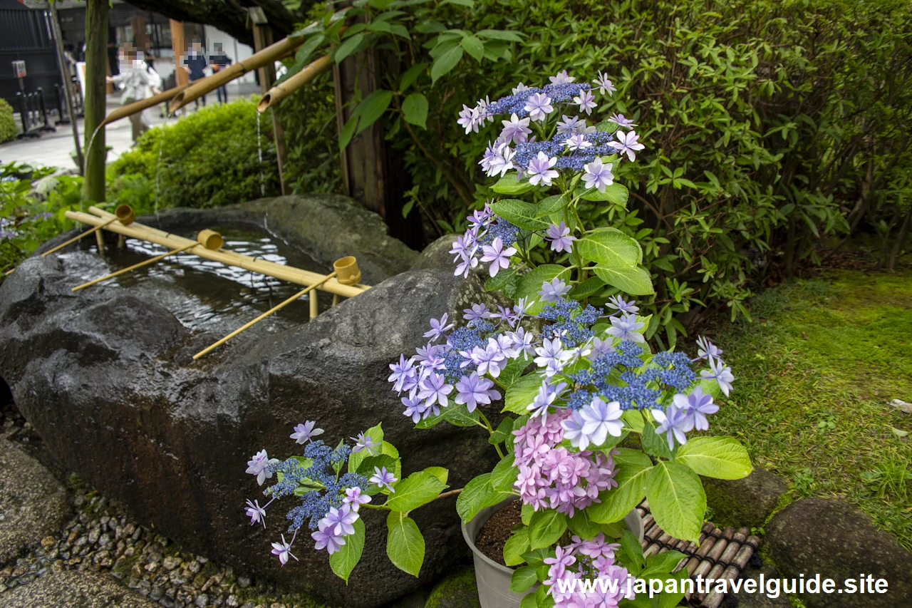 鎌倉 長谷寺(5)