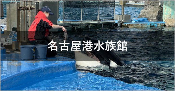 名古屋港水族館(0)