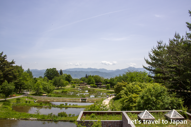 国営アルプスあづみの公園(2)