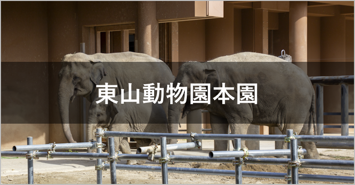 東山動物園本園(0)