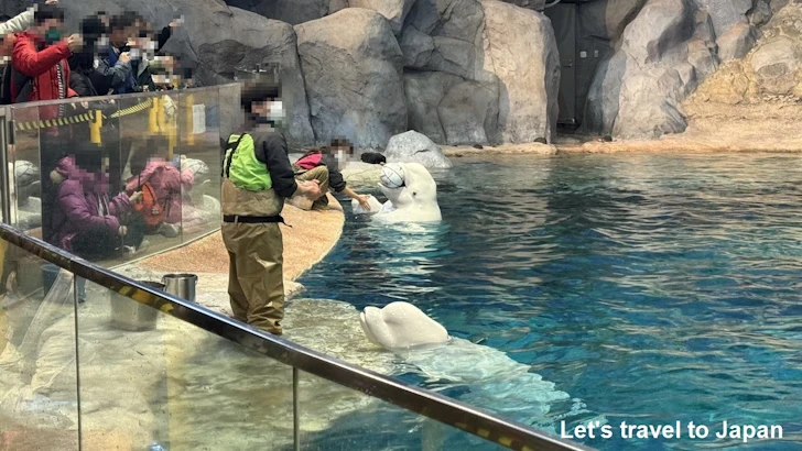 名古屋港水族館北館：名古屋港水族館の見どころ(13)