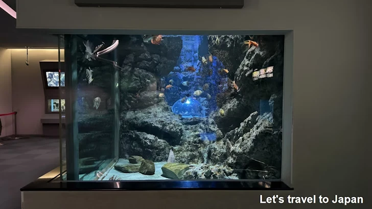 名古屋港水族館南館：名古屋港水族館の見どころ(2)