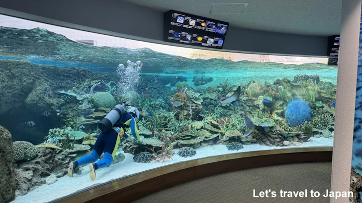 名古屋港水族館南館：名古屋港水族館の見どころ(5)