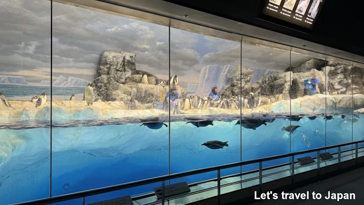 名古屋港水族館南館：名古屋港水族館の見どころ(9)
