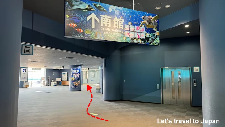 北館から南館への移動：名古屋港水族館南館の見どころ(1)