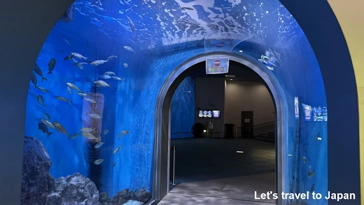 日本の海エリア：名古屋港水族館南館の見どころ(6)
