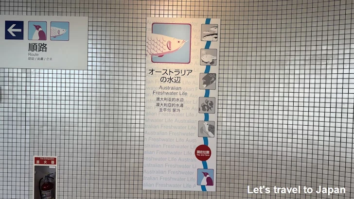 オーストラリアの水辺エリア：名古屋港水族館南館の見どころ(1)