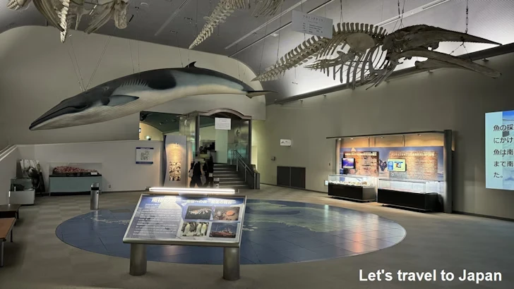 南極の海エリア：名古屋港水族館南館の見どころ(2)