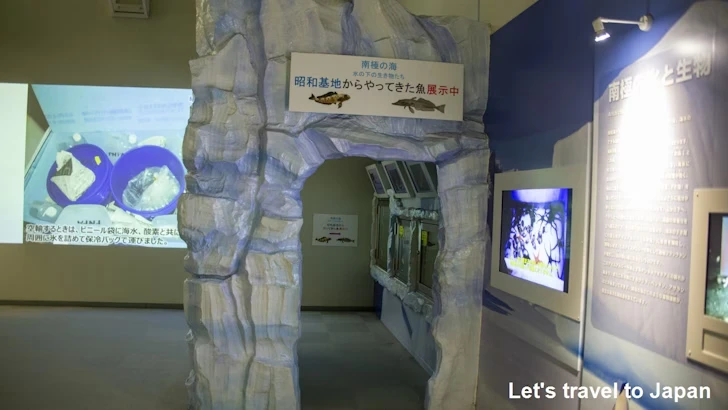 南極の海エリア：名古屋港水族館南館の見どころ(3)