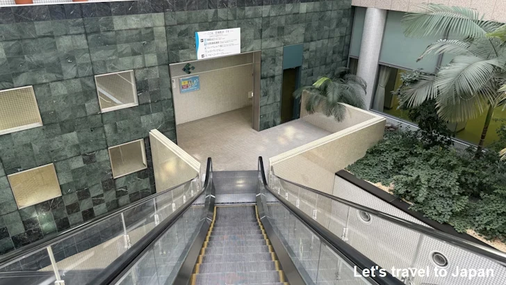 タッチタンク：名古屋港水族館南館の見どころ(1)