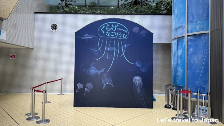 くらげなごりうむ：名古屋港水族館南館の見どころ(1)