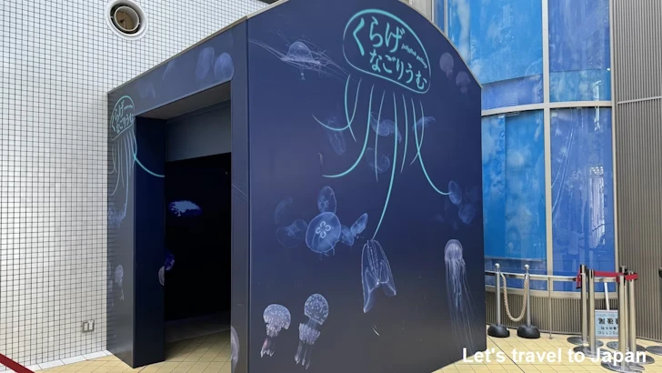 くらげなごりうむ：名古屋港水族館南館の見どころ(2)