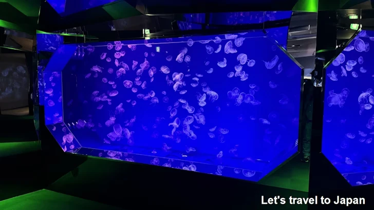 くらげなごりうむ：名古屋港水族館南館の見どころ(3)