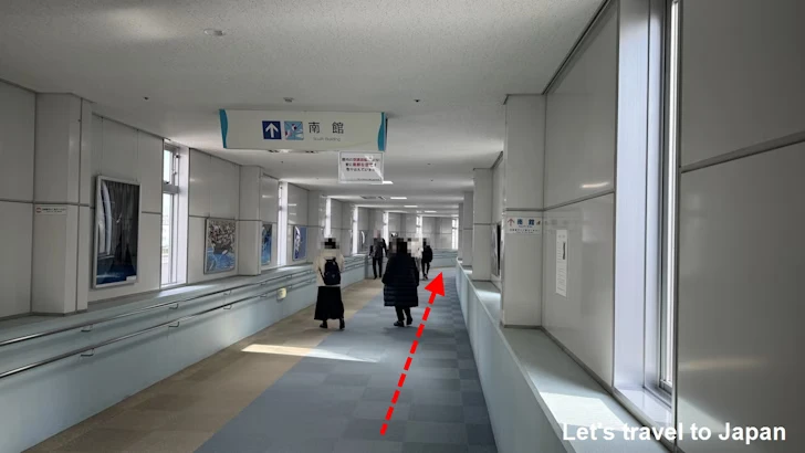 北館から南館への移動：名古屋港水族館南館の見どころ(2)