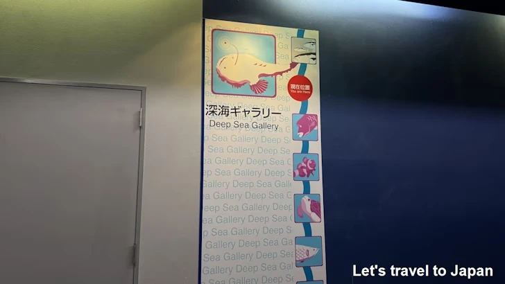 深海ギャラリーエリア：名古屋港水族館南館の見どころ(1)
