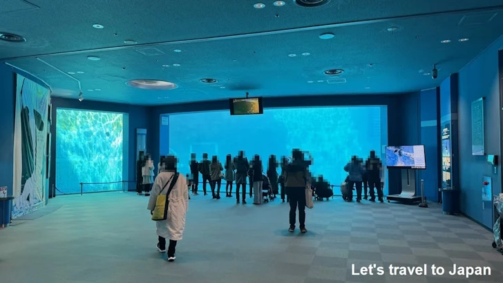 シャチのプール：名古屋港水族館北館の見どころ(2)