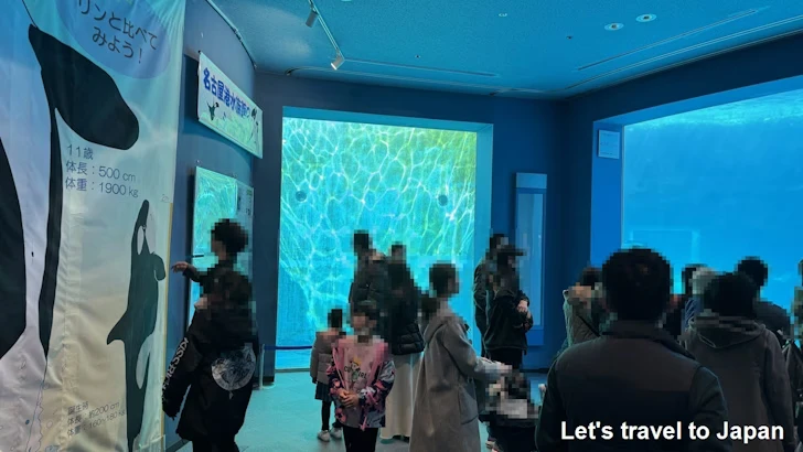 イルカのプール：名古屋港水族館北館の見どころ(20)