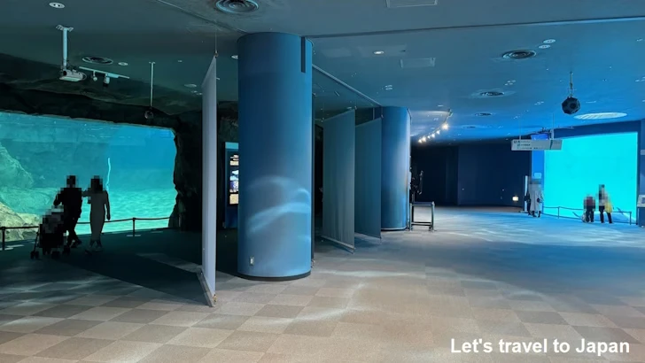 ベルーガのプール：名古屋港水族館北館の見どころ(31)
