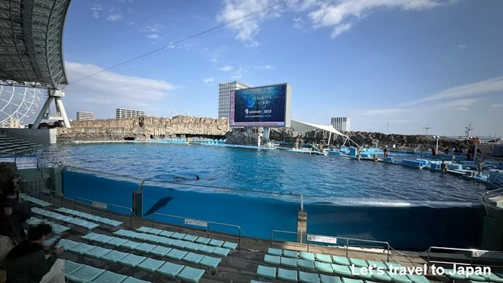 メインプール：名古屋港水族館北館の見どころ(47)