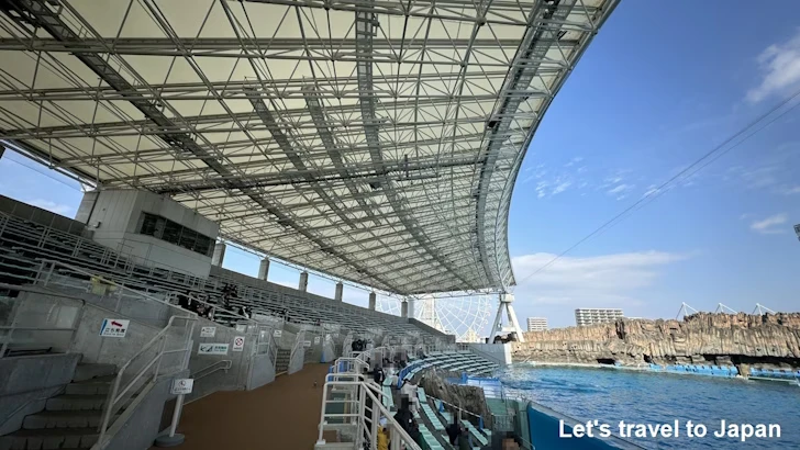 メインプール：名古屋港水族館北館の見どころ(48)