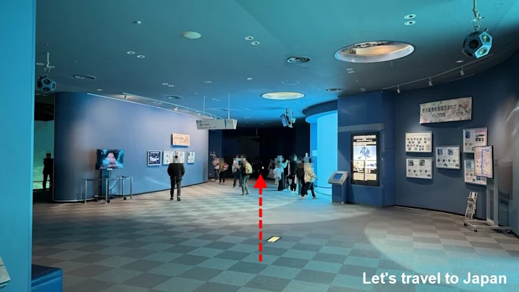 メインプール：名古屋港水族館北館の見どころ(61)