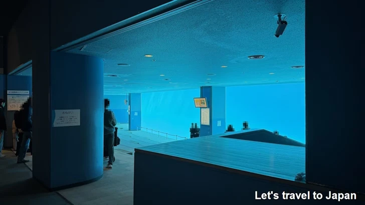 メインプール：名古屋港水族館北館の見どころ(63)
