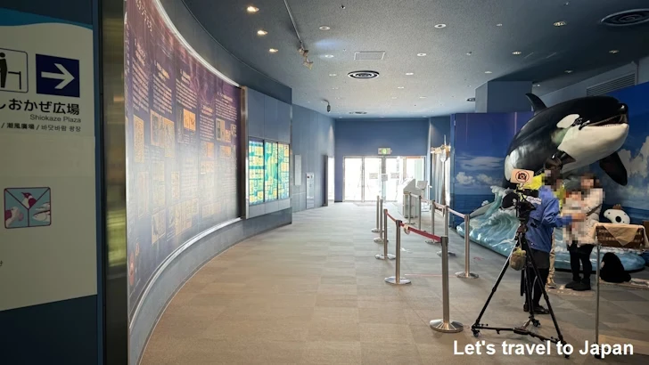 しおかぜ広場：名古屋港水族館北館の見どころ(78)
