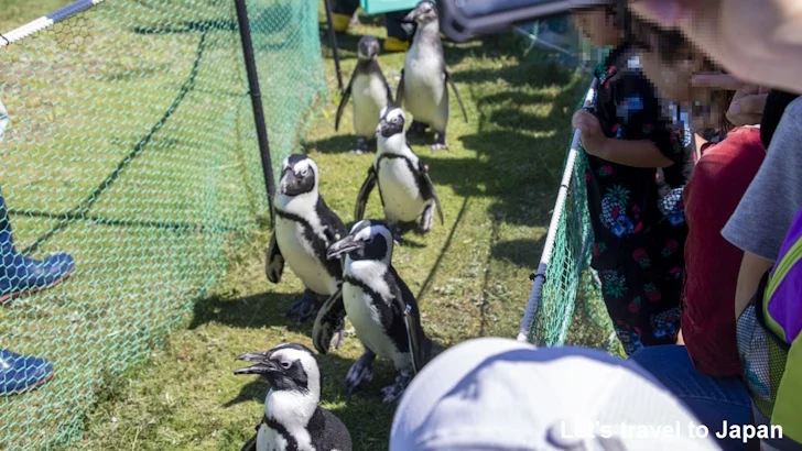 しおかぜ広場：名古屋港水族館北館の見どころ(83)