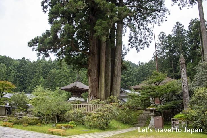 金剛三昧院：高野山の見どころ(42)