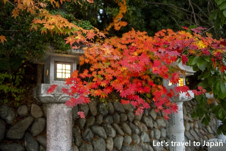 高野山の紅葉：高野山の見どころ(43)