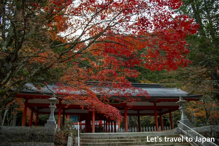 高野山の紅葉：高野山の見どころ(44)