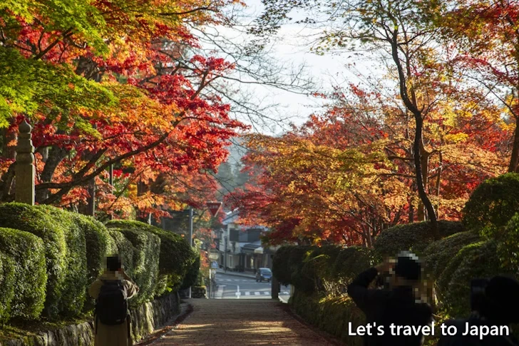 高野山の紅葉：高野山の見どころ(45)