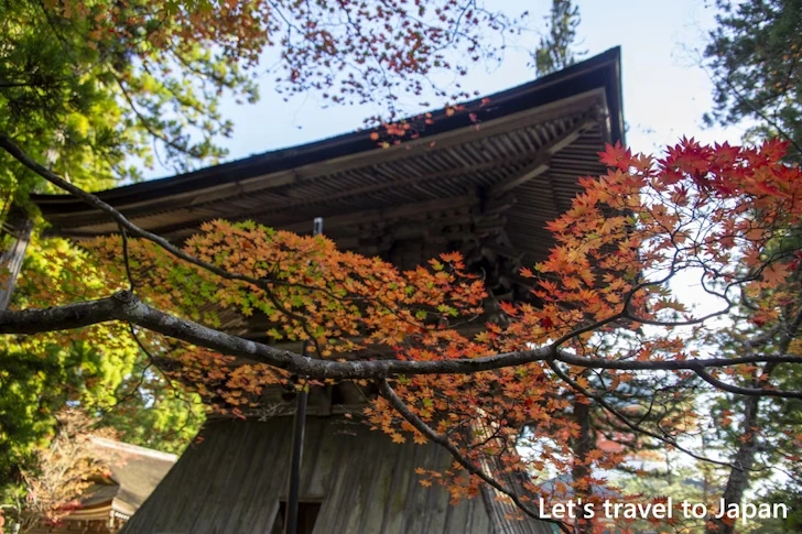 高野山の紅葉：高野山の見どころ(46)