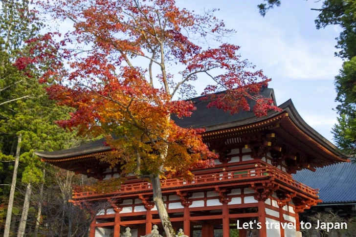 壇上伽藍の紅葉：高野山の紅葉の見どころ完全ガイド(15)
