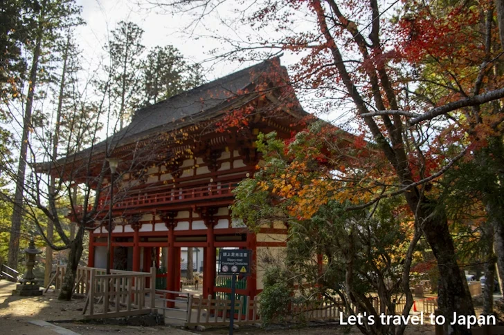 壇上伽藍の紅葉：高野山の紅葉の見どころ完全ガイド(16)