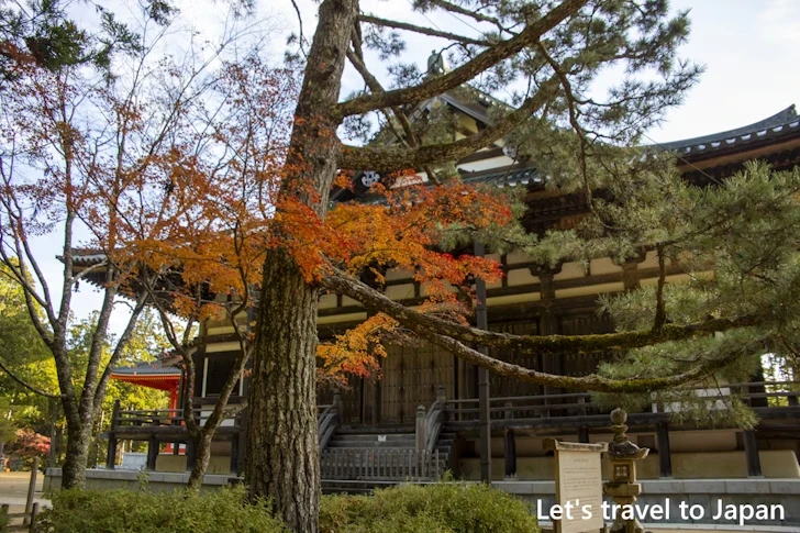 壇上伽藍の紅葉：高野山の紅葉の見どころ完全ガイド(17)